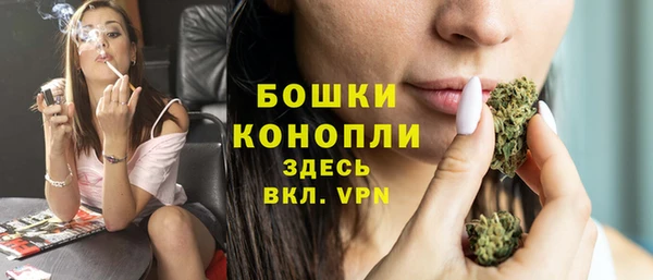 сатива Вязники