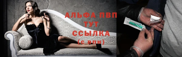 сатива Вязники
