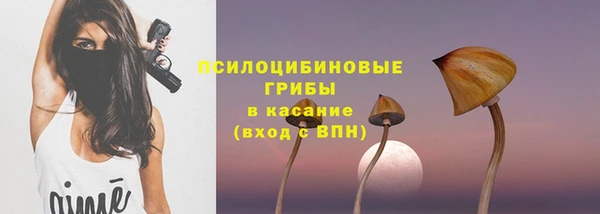 сатива Вязники
