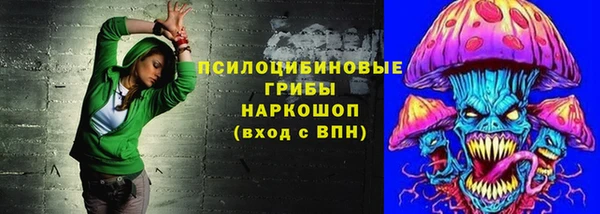 сатива Вязники