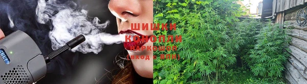 сатива Вязники
