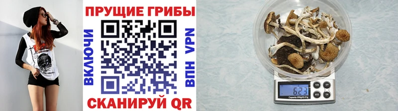 продажа наркотиков  Дюртюли  Псилоцибиновые грибы ЛСД 