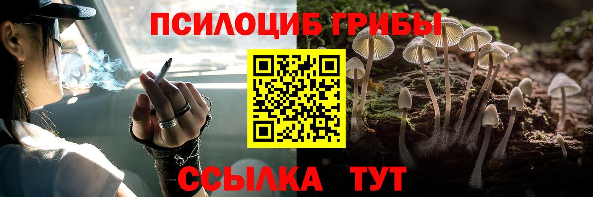 Галлюциногенные грибы GOLDEN TEACHER Дюртюли